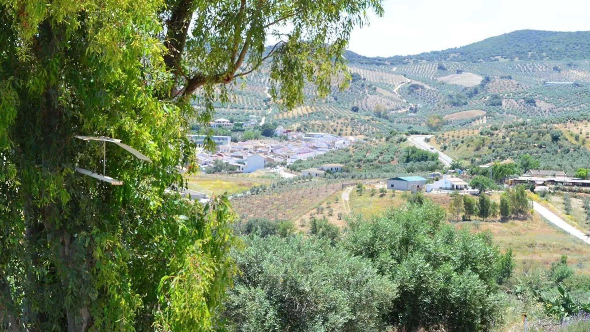 Spacious Holiday Home With Pool Algamitas